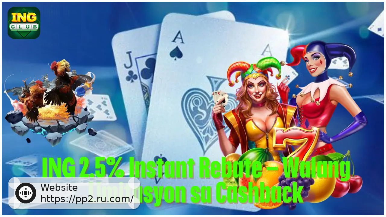 PP2 Instant Rebate Unlimited Cashback Rewards